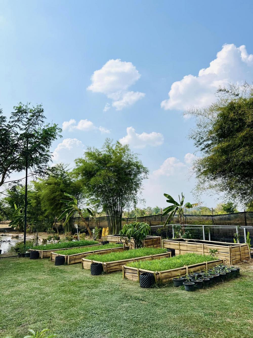 ไอเดียบ้านญี่ปุ่นขนาดเล็ก สวนดอกไม้สนามหญ้า มีลำธารไหลผ่าน บ้านสวนเวลาเขาใหญ่ รูปที่ 17