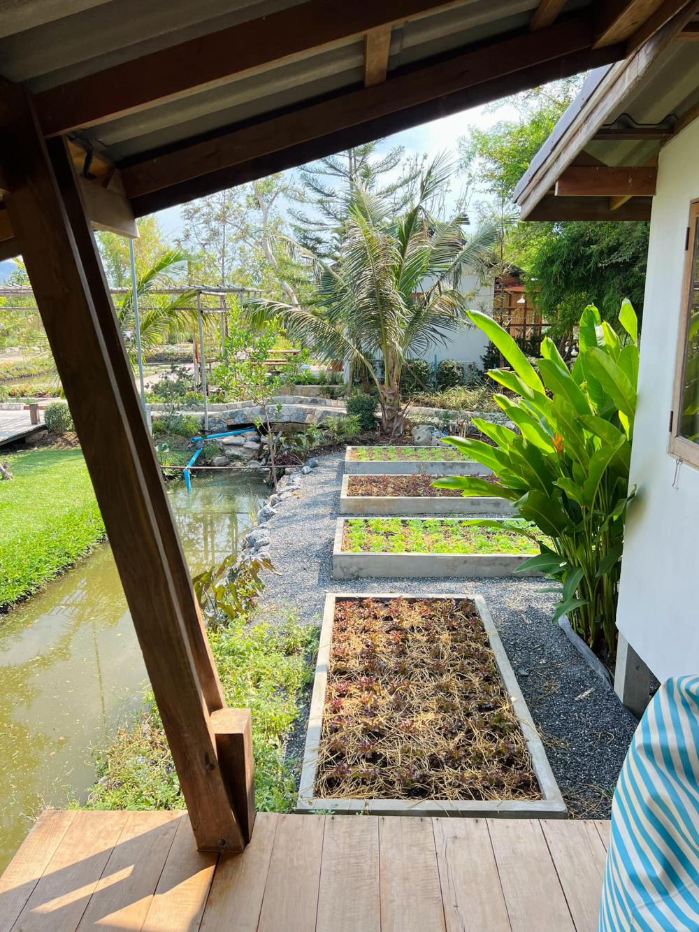 ไอเดียบ้านญี่ปุ่นขนาดเล็ก สวนดอกไม้สนามหญ้า มีลำธารไหลผ่าน บ้านสวนเวลาเขาใหญ่ รูปที่ 18