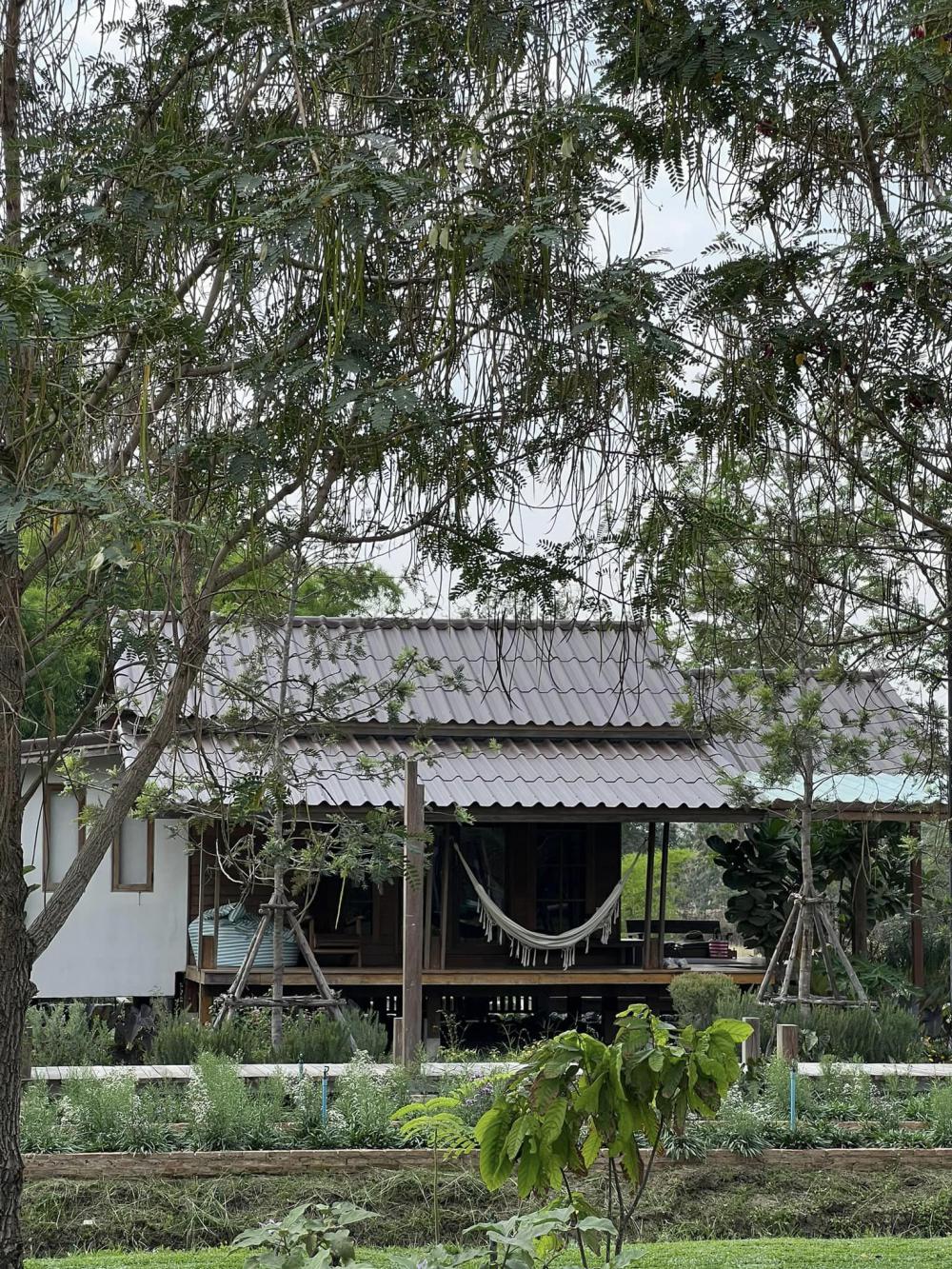 ไอเดียบ้านญี่ปุ่นขนาดเล็ก สวนดอกไม้สนามหญ้า มีลำธารไหลผ่าน บ้านสวนเวลาเขาใหญ่ รูปที่ 20