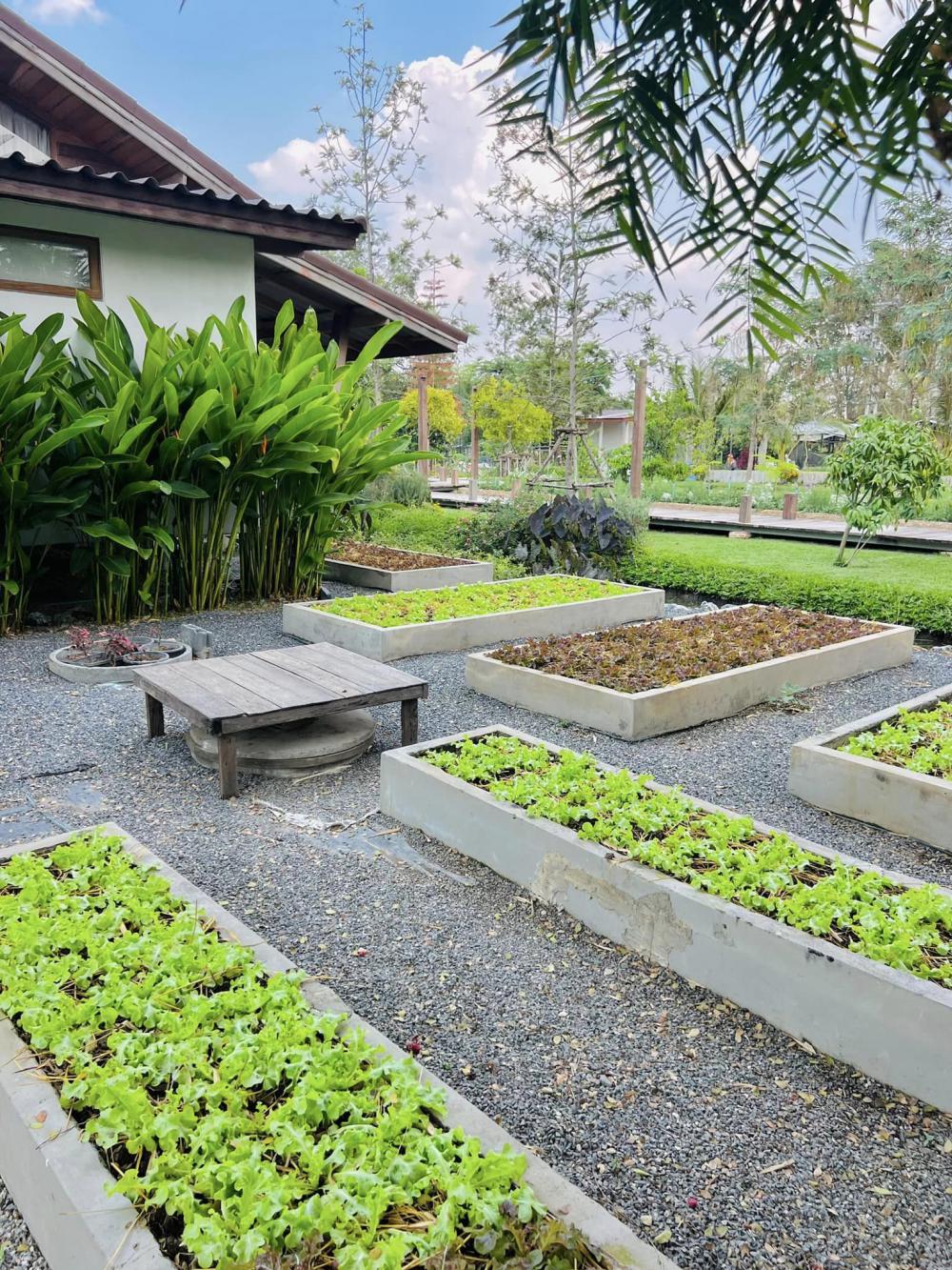 ไอเดียบ้านญี่ปุ่นขนาดเล็ก สวนดอกไม้สนามหญ้า มีลำธารไหลผ่าน บ้านสวนเวลาเขาใหญ่ รูปที่ 27