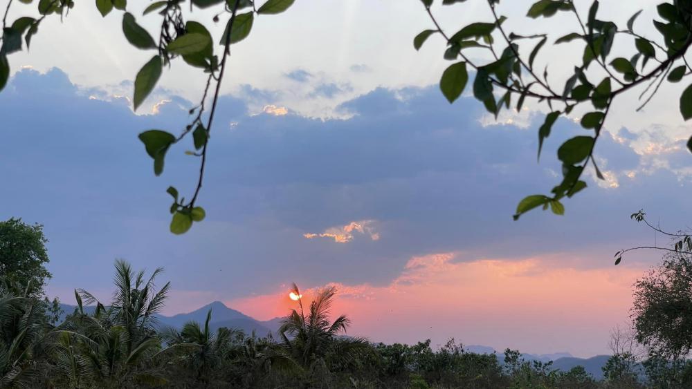 ไอเดียบ้านญี่ปุ่นขนาดเล็ก สวนดอกไม้สนามหญ้า มีลำธารไหลผ่าน บ้านสวนเวลาเขาใหญ่ รูปที่ 4