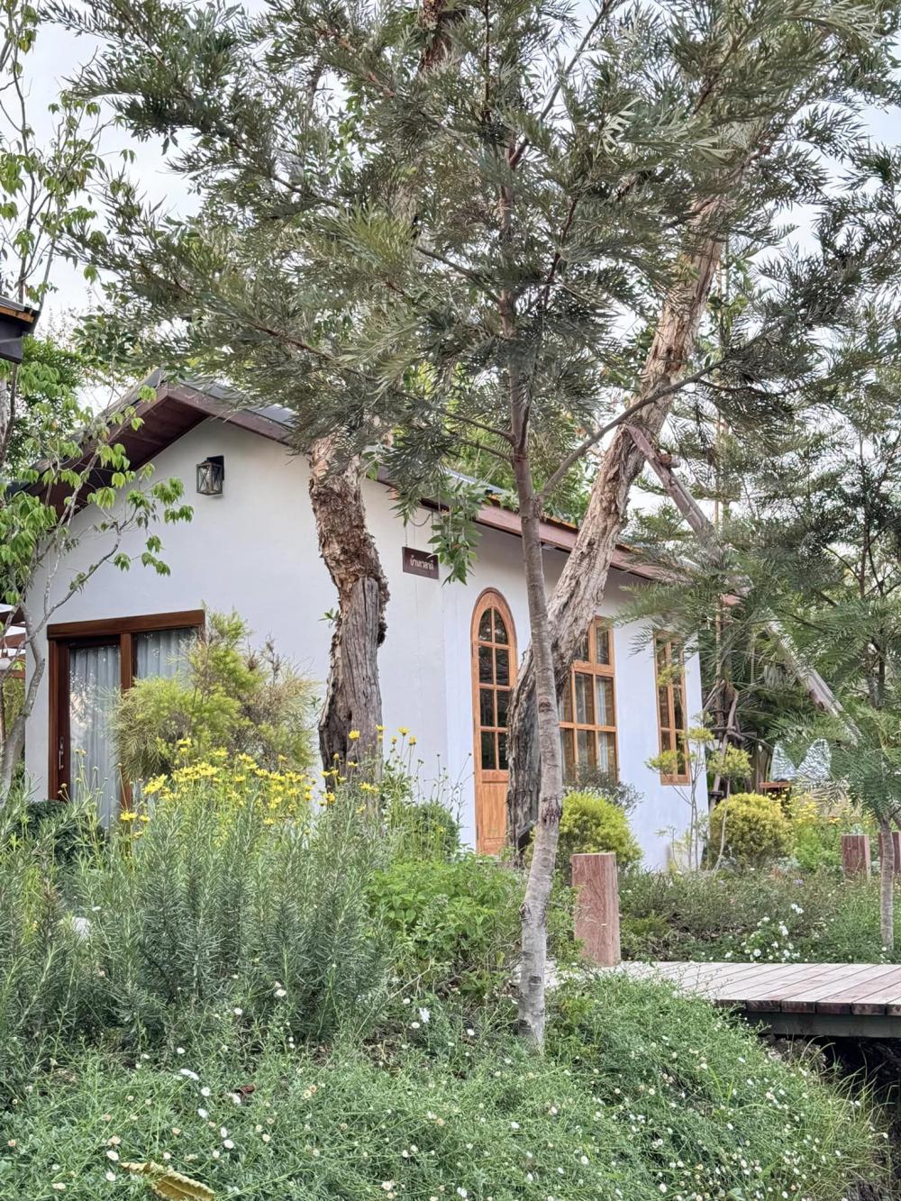 ไอเดียบ้านญี่ปุ่นขนาดเล็ก สวนดอกไม้สนามหญ้า มีลำธารไหลผ่าน บ้านสวนเวลาเขาใหญ่ รูปที่ 7