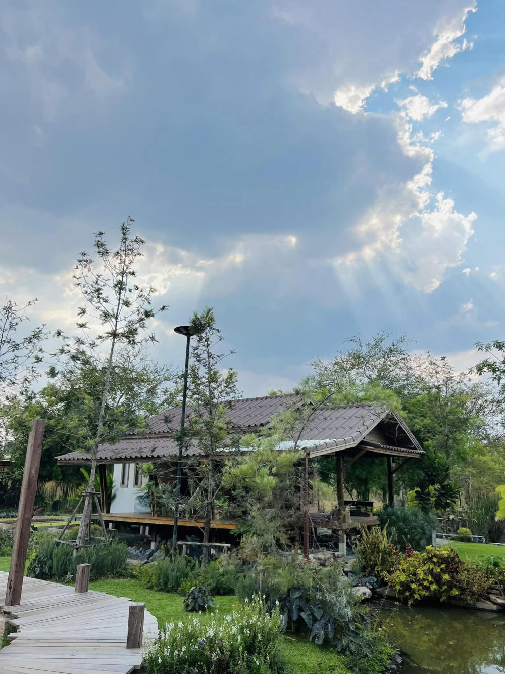 ไอเดียบ้านญี่ปุ่นขนาดเล็ก สวนดอกไม้สนามหญ้า มีลำธารไหลผ่าน บ้านสวนเวลาเขาใหญ่ รูปที่ 31