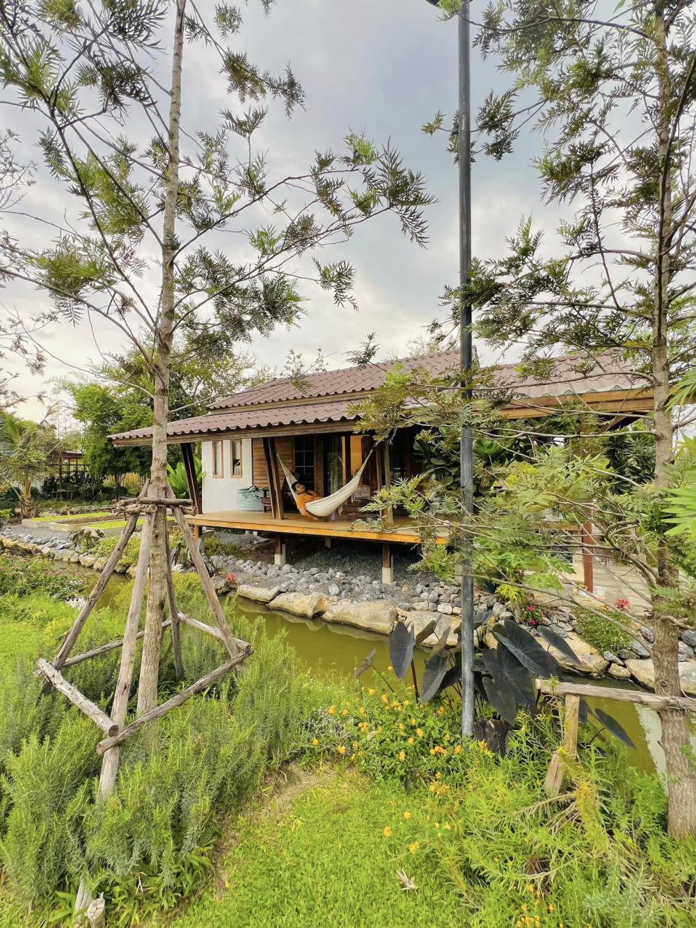 ไอเดียบ้านญี่ปุ่นขนาดเล็ก สวนดอกไม้สนามหญ้า มีลำธารไหลผ่าน บ้านสวนเวลาเขาใหญ่ รูปที่ 40