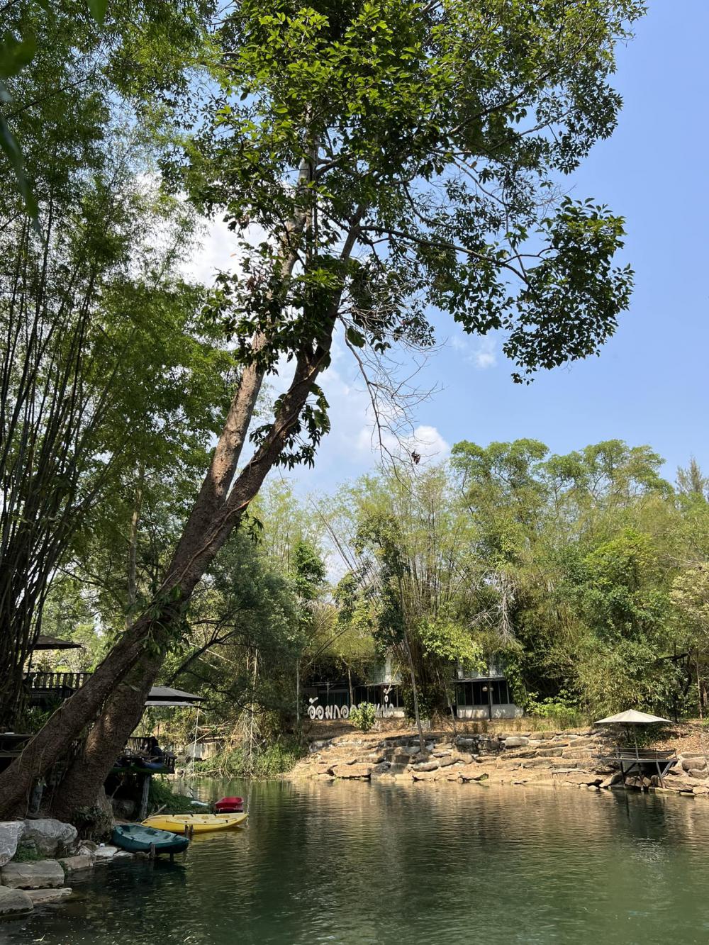 ไอเดียบ้านญี่ปุ่นขนาดเล็ก สวนดอกไม้สนามหญ้า มีลำธารไหลผ่าน บ้านสวนเวลาเขาใหญ่ รูปที่ 41