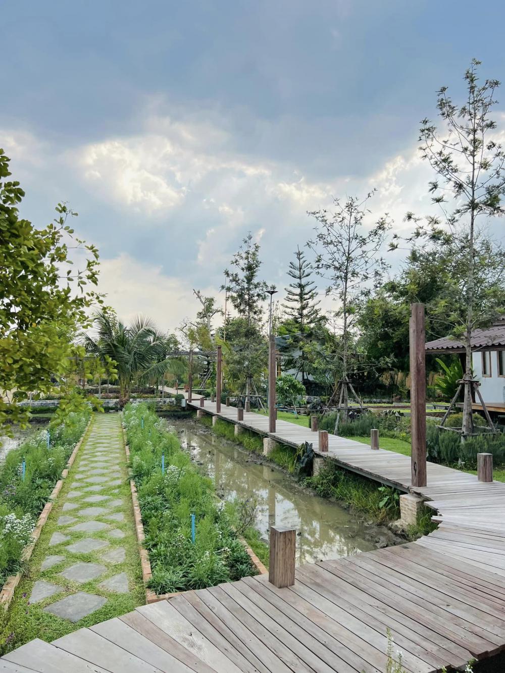 ไอเดียบ้านญี่ปุ่นขนาดเล็ก สวนดอกไม้สนามหญ้า มีลำธารไหลผ่าน บ้านสวนเวลาเขาใหญ่ รูปที่ 32