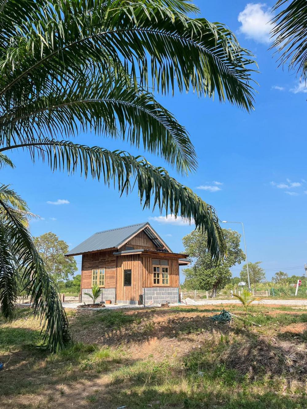 ไอเดียคาเฟ่ไม้เล็กๆ  รูปที่ 4