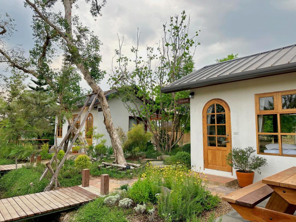 สวนเวลาเขาใหญ่ และที่พักมินิมอล รูปที่ 10