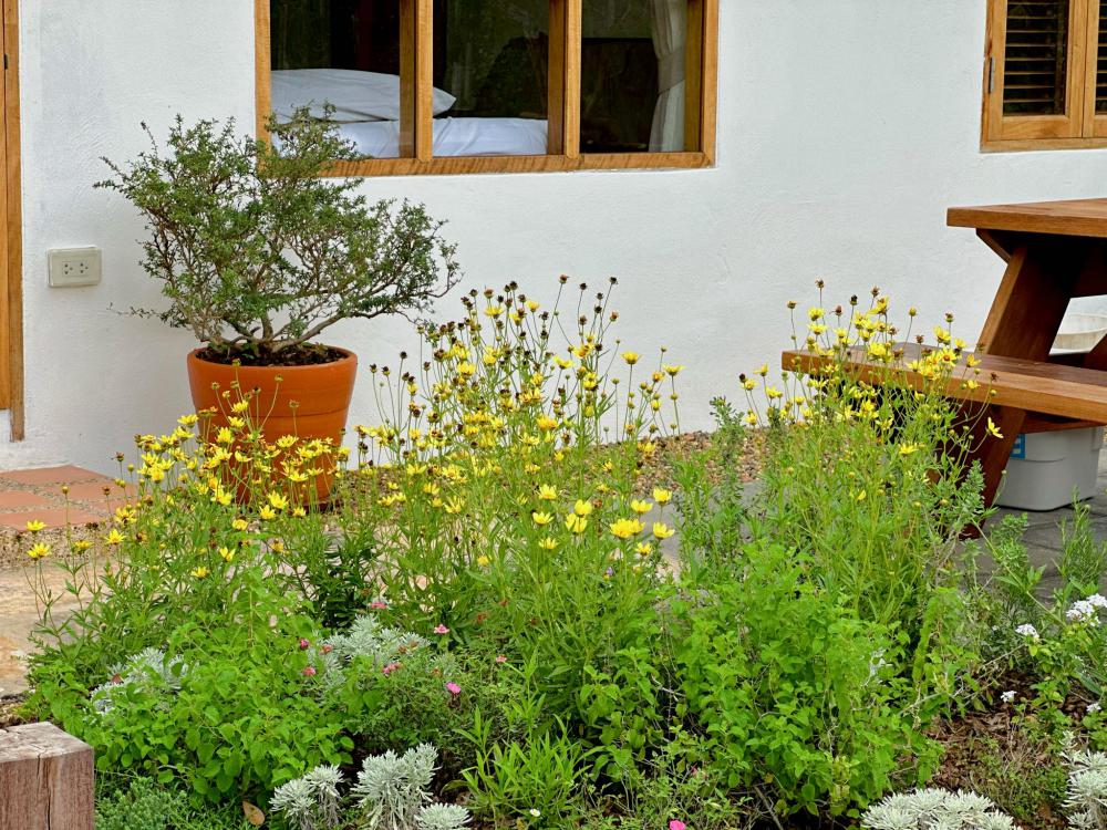 สวนเวลาเขาใหญ่ และที่พักมินิมอล รูปที่ 3