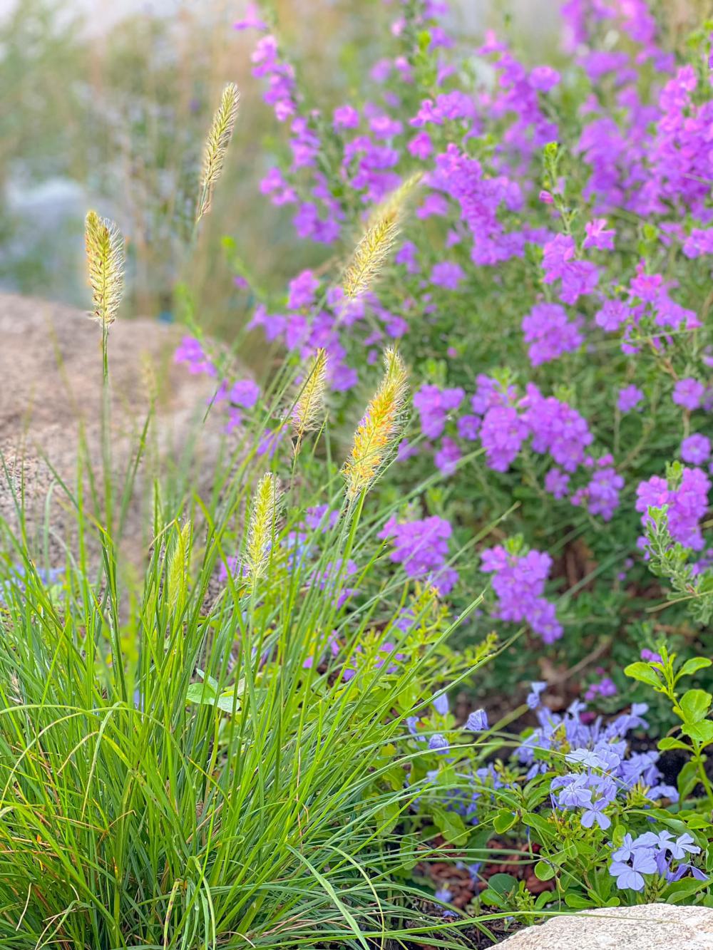 ไอเดียบ้านสไตล์ญี่ปุ่นมินิมอลและจัดสวนมินิมอล 𝘽𝙖𝙖𝙣 𝘽𝙬𝙝𝙞𝙩𝙚 รูปที่ 11