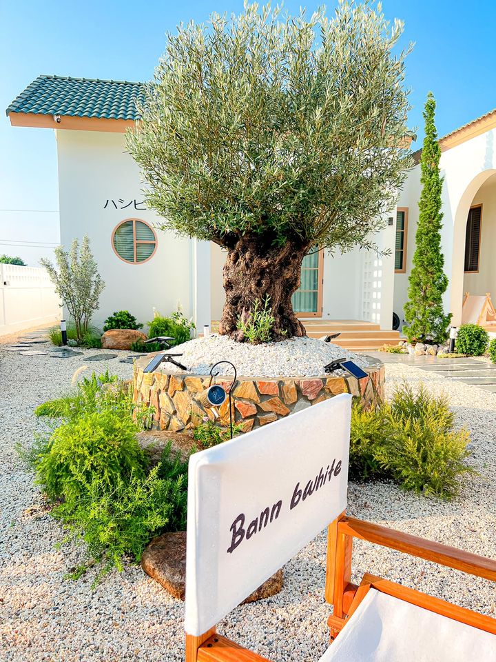 ไอเดียบ้านสไตล์ญี่ปุ่นมินิมอลและจัดสวนมินิมอล 𝘽𝙖𝙖𝙣 𝘽𝙬𝙝𝙞𝙩𝙚 รูปที่ 8