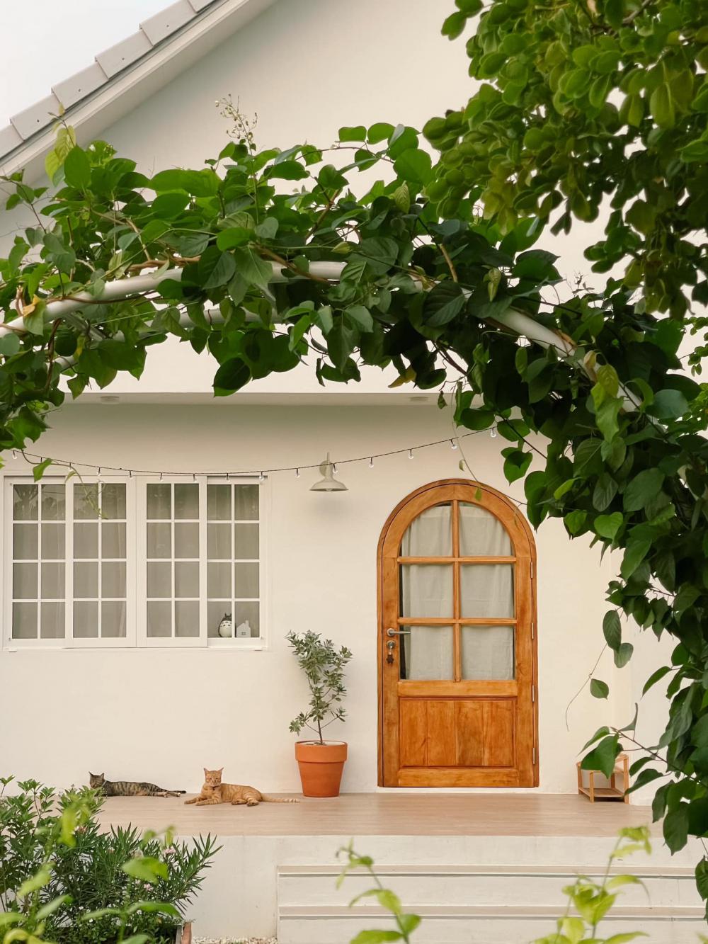 บ้านคอสเทจมินิมอลและจัดสวนมินิมอล ไอเดียบ้านน่าอยู่ รูปที่ 3