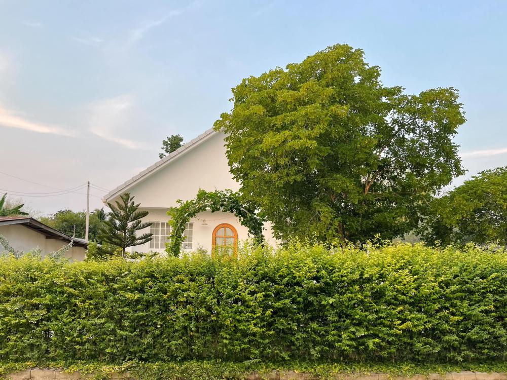 บ้านคอสเทจมินิมอลและจัดสวนมินิมอล ไอเดียบ้านน่าอยู่ รูปที่ 6