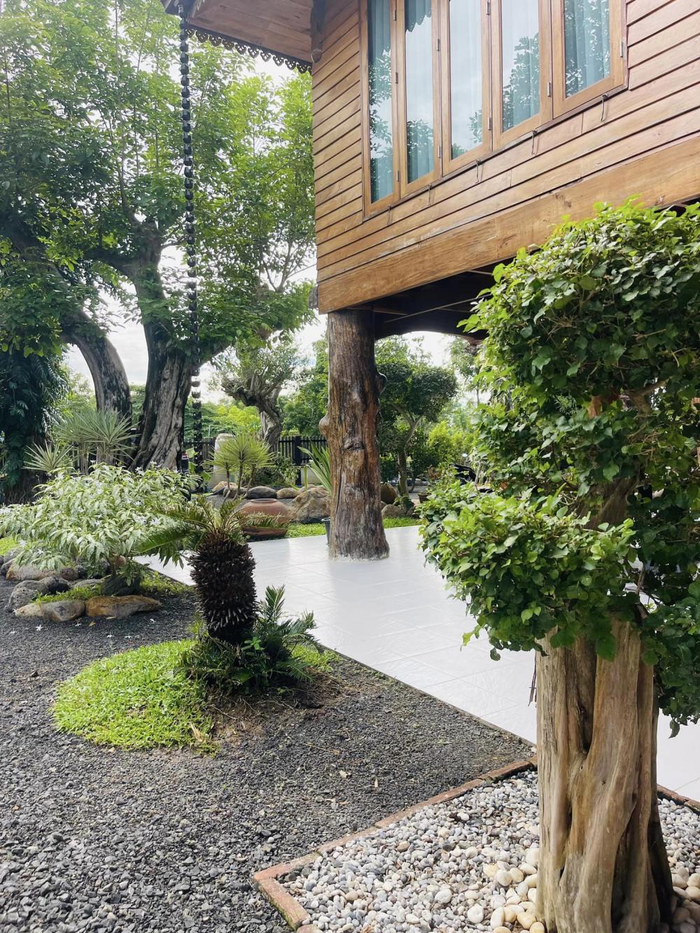 ไอเดียแต่งสวนบ้านสวนร่มรื่นน่าอยู่ รูปที่ 3