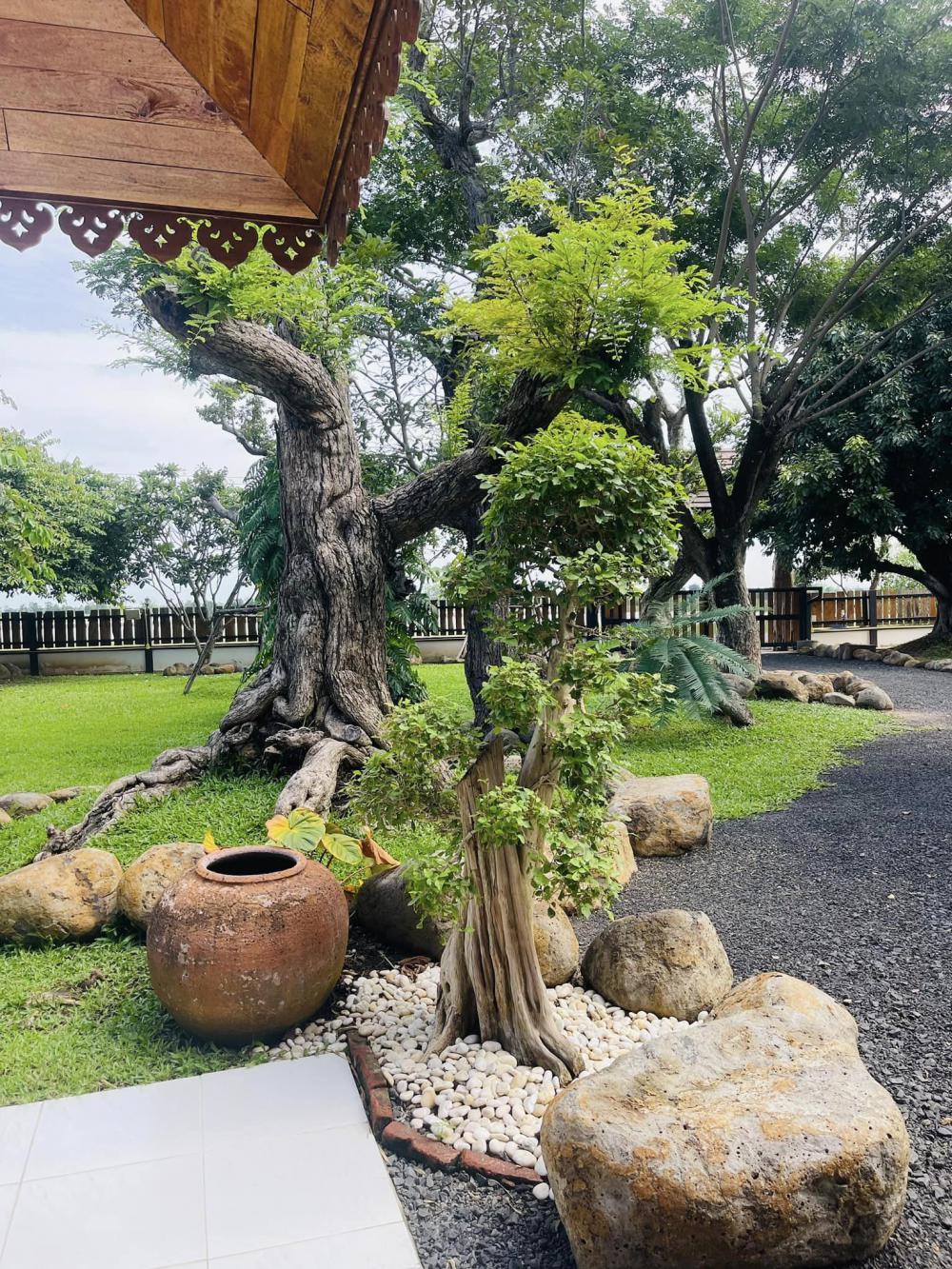 ไอเดียแต่งสวนบ้านสวนร่มรื่นน่าอยู่ รูปที่ 4