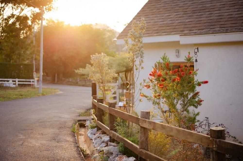 ไอเดียบ้านสไตล์โฮมมี่ เขาใหญ่เกรวิลเลีย ฟิลเหมือนบ้านชนบทในต่างประเทศ รูปที่ 17