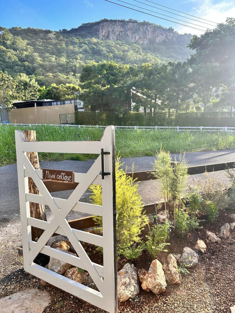 ไอเดียบ้านสไตล์โฮมมี่ เขาใหญ่เกรวิลเลีย ฟิลเหมือนบ้านชนบทในต่างประเทศ รูปที่ 7