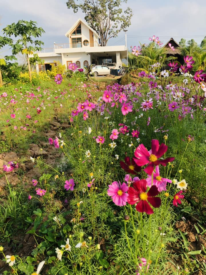 บ้านสวนมินิมอล งบ 1.47 ล้านบาท สวนอินสุข อ่างเก็บน้ำท่ากระบาก รูปที่ 12