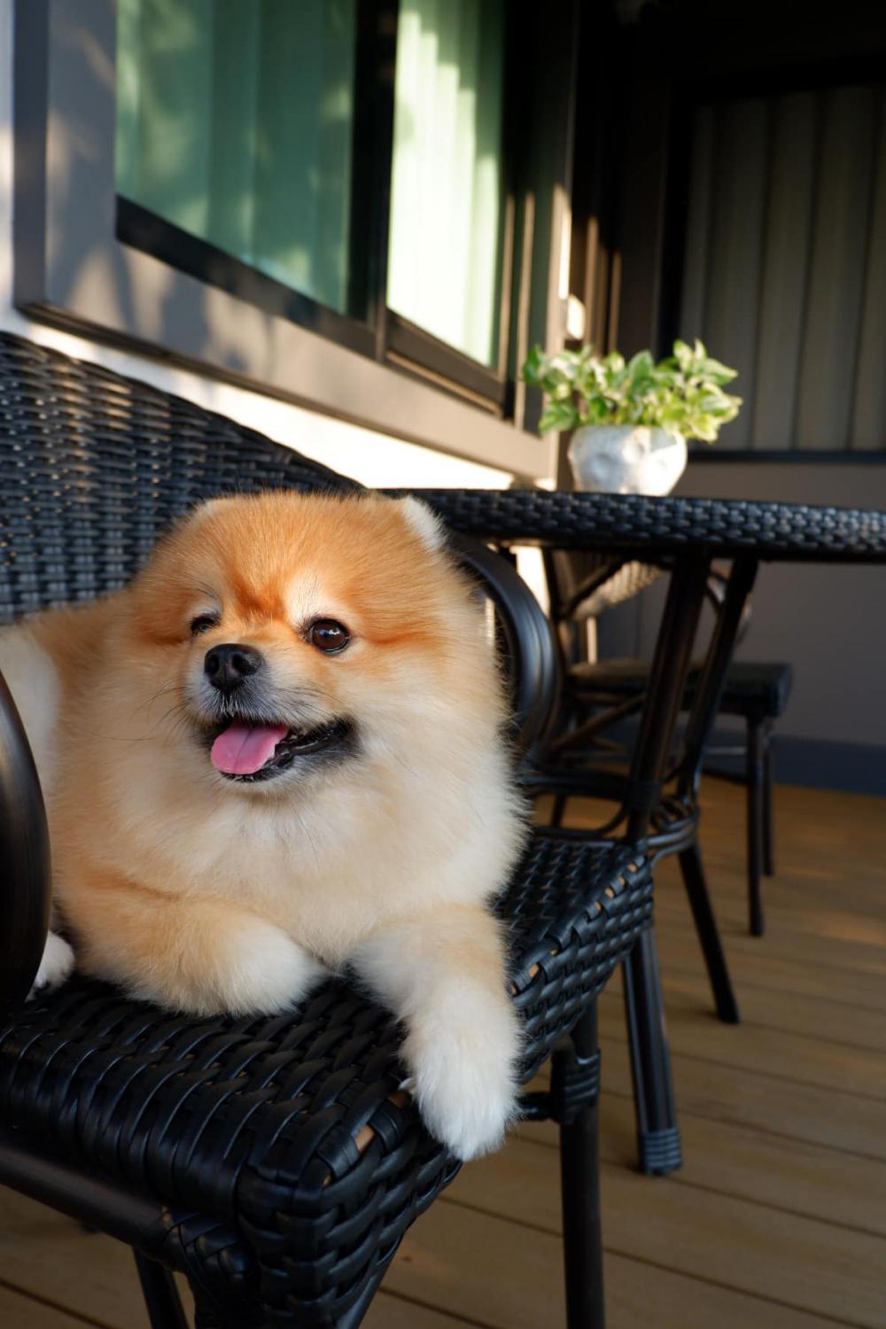 ไอเดียแต่งบ้านสไตล์มินิมอลมูจิ ห้องนั่งเล่น รูปที่ 15