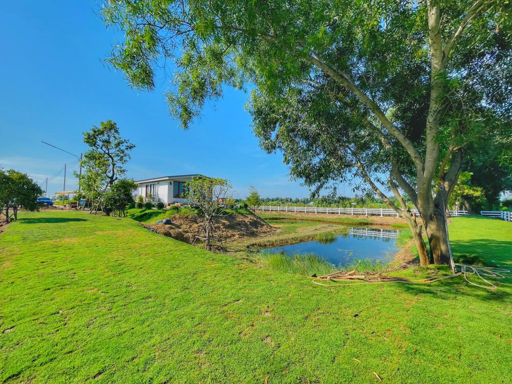 ไอเดียบ้านสวยในสวนพื้นที่กว้าง จัดสวนให้น่าอยู่ รูปที่ 10