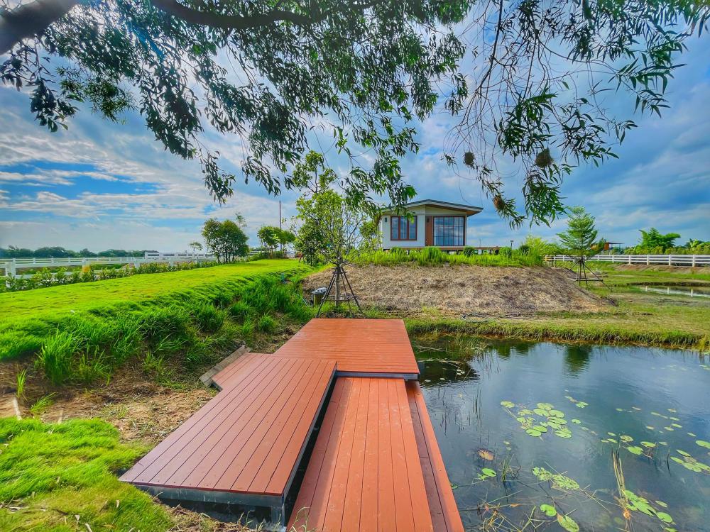 ไอเดียบ้านสวยในสวนพื้นที่กว้าง จัดสวนให้น่าอยู่ท่าน้ำ สำหรับนั่งพักผ่อน จิบกาแฟ อ่านหนังสือมองธรรมชาติ รูปที่ 1