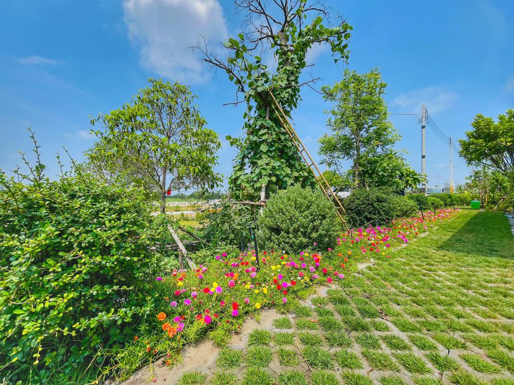 ไอเดียบ้านสวยในสวนพื้นที่กว้าง จัดสวนให้น่าอยู่ท่าน้ำ สำหรับนั่งพักผ่อน จิบกาแฟ อ่านหนังสือมองธรรมชาติ รูปที่ 5