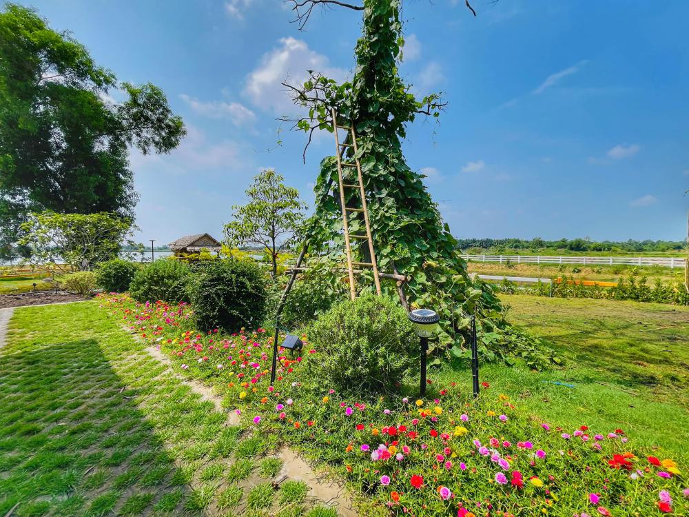 ไอเดียบ้านสวยในสวนพื้นที่กว้าง จัดสวนให้น่าอยู่ท่าน้ำ สำหรับนั่งพักผ่อน จิบกาแฟ อ่านหนังสือมองธรรมชาติ รูปที่ 6