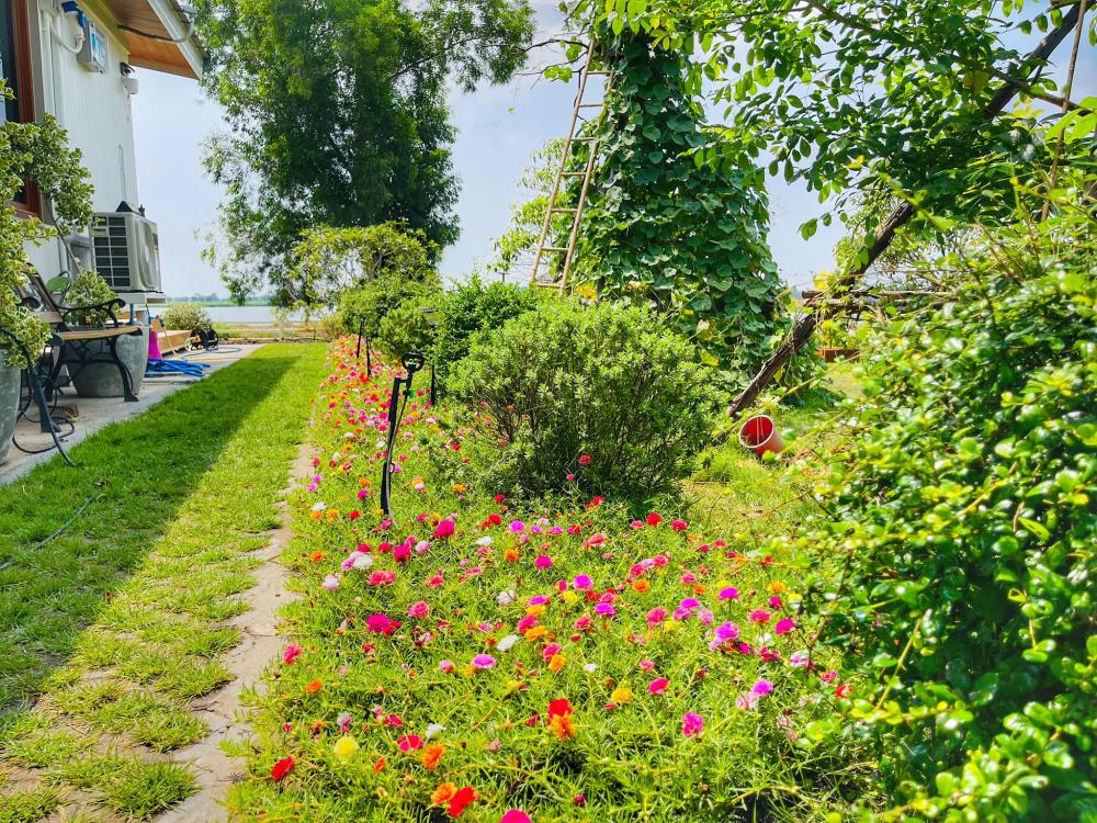 ไอเดียบ้านสวยในสวนพื้นที่กว้าง จัดสวนให้น่าอยู่ท่าน้ำ สำหรับนั่งพักผ่อน จิบกาแฟ อ่านหนังสือมองธรรมชาติ รูปที่ 7