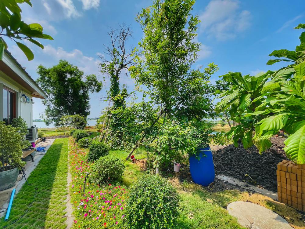 ไอเดียบ้านสวยในสวนพื้นที่กว้าง จัดสวนให้น่าอยู่ท่าน้ำ สำหรับนั่งพักผ่อน จิบกาแฟ อ่านหนังสือมองธรรมชาติ รูปที่ 8