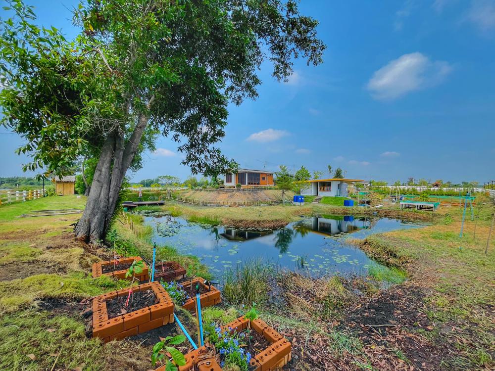 ไอเดียบ้านสวยในสวนพื้นที่กว้าง จัดสวนให้น่าอยู่ท่าน้ำ สำหรับนั่งพักผ่อน จิบกาแฟ อ่านหนังสือมองธรรมชาติ รูปที่ 9