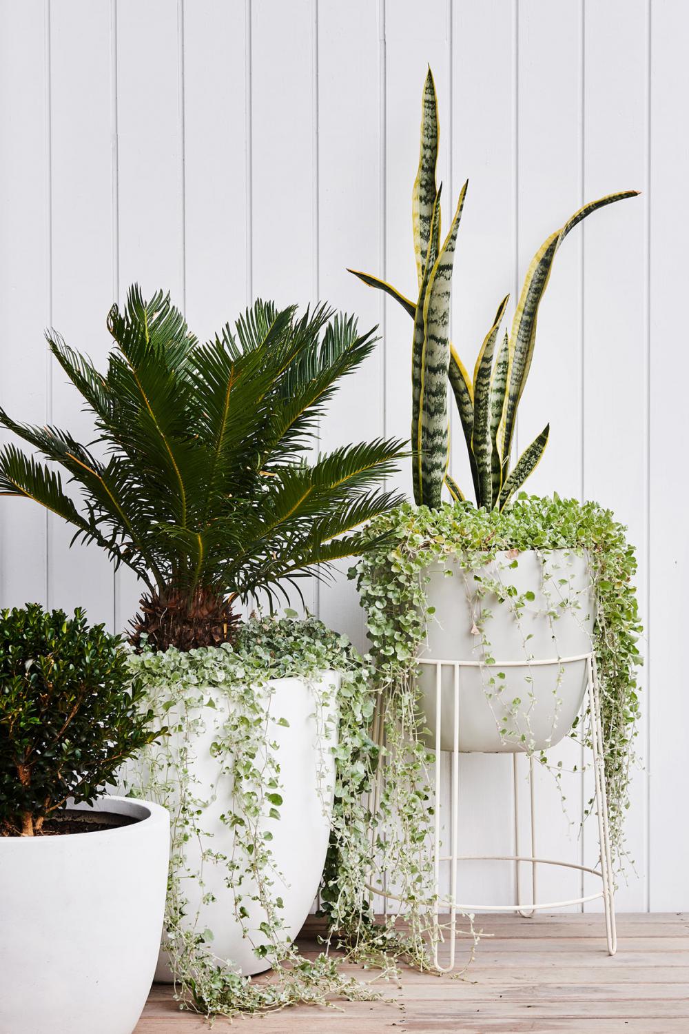 ไอเดียบ้านสวยสไตล์นอร์ดิกโทนสีขาวดำ รูปที่ 6