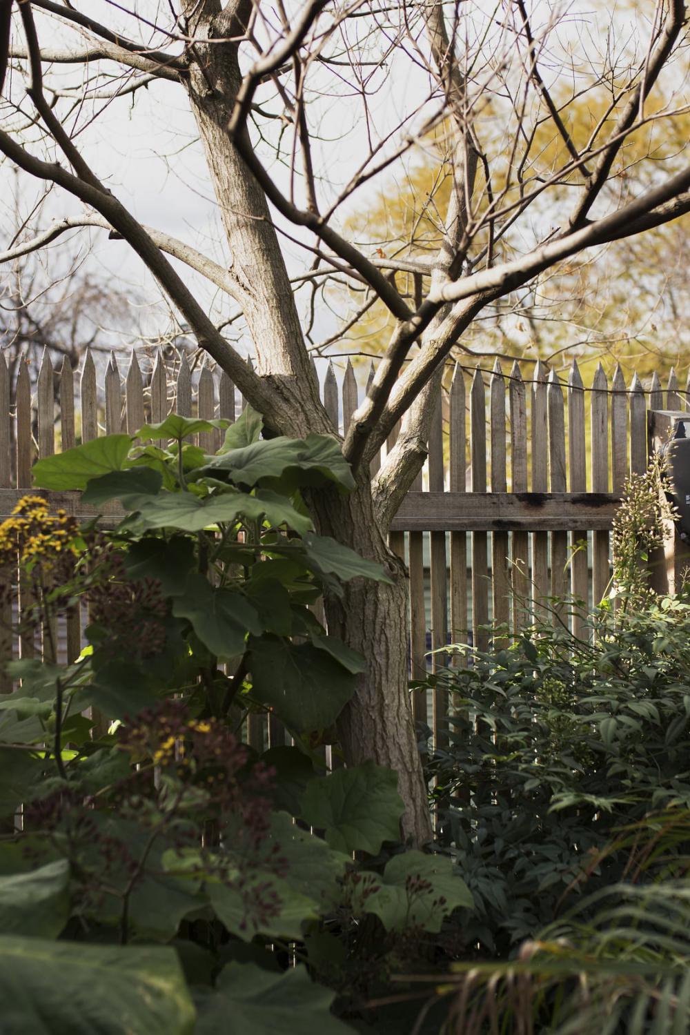 ไอเดียบ้านสวยหลังเล็กฟังก์ชั่นครบ รูปที่ 7