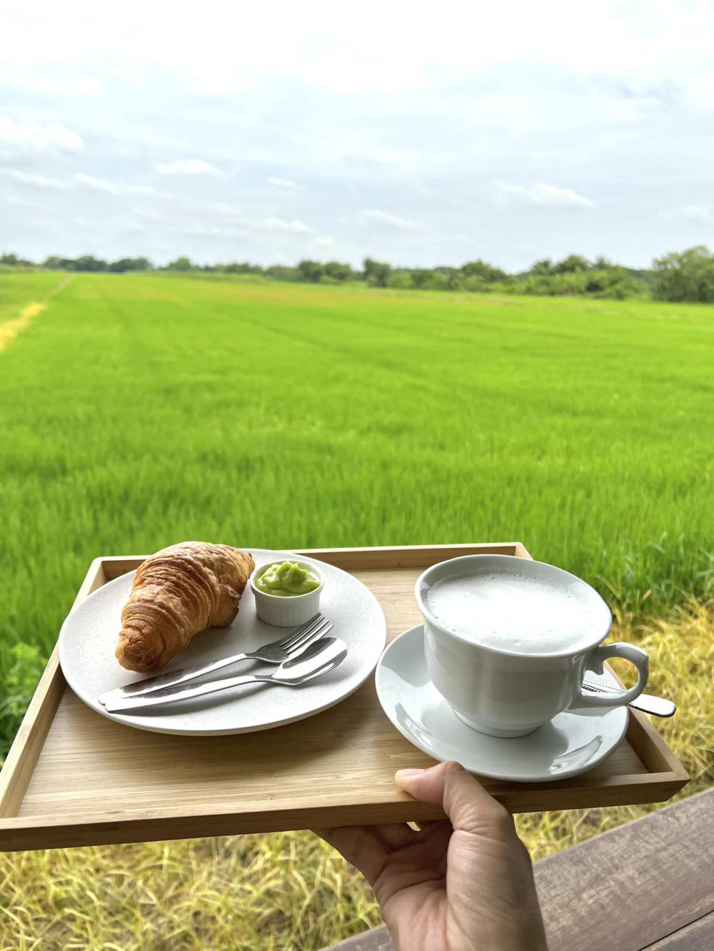 ไอเดียร้านกาแฟด้านหลังเป็นนาข้าว อากาศดีน่านั่งท่ามกลางธรรมชาติ รูปที่ 10