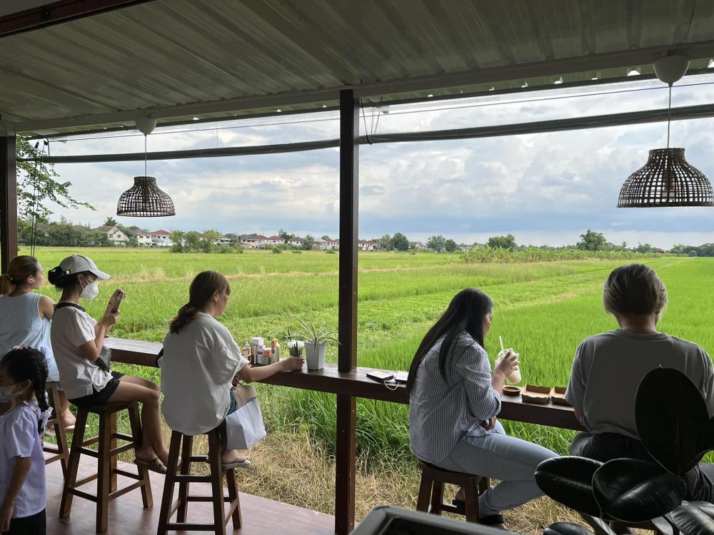 ไอเดียร้านกาแฟด้านหลังเป็นนาข้าว อากาศดีน่านั่งท่ามกลางธรรมชาติ รูปที่ 16