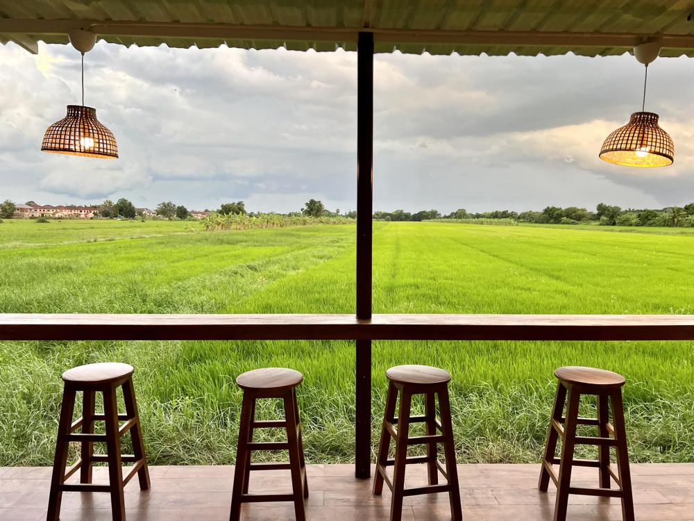 ไอเดียร้านกาแฟด้านหลังเป็นนาข้าว อากาศดีน่านั่งท่ามกลางธรรมชาติ รูปที่ 4