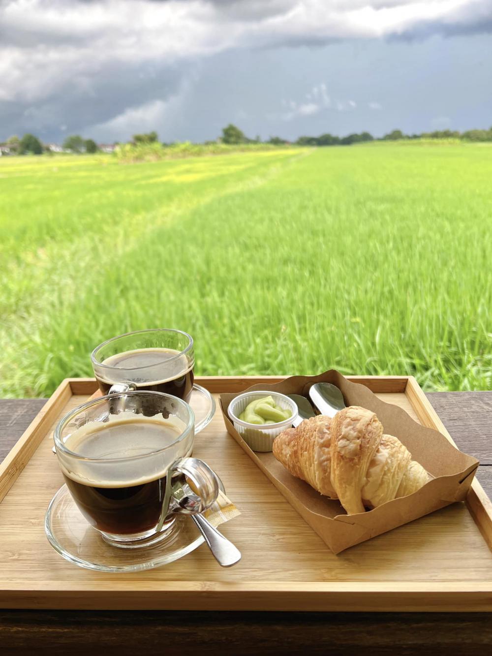 ไอเดียร้านกาแฟด้านหลังเป็นนาข้าว อากาศดีน่านั่งท่ามกลางธรรมชาติ รูปที่ 6