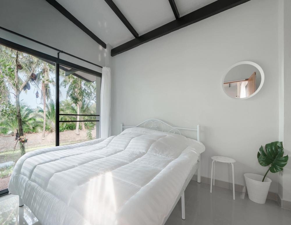 บ้านปูนชั้นเดียวกลางสวนมะพร้าว ออกแบบได้น่าอยู่และลงตัว รูปที่ 6