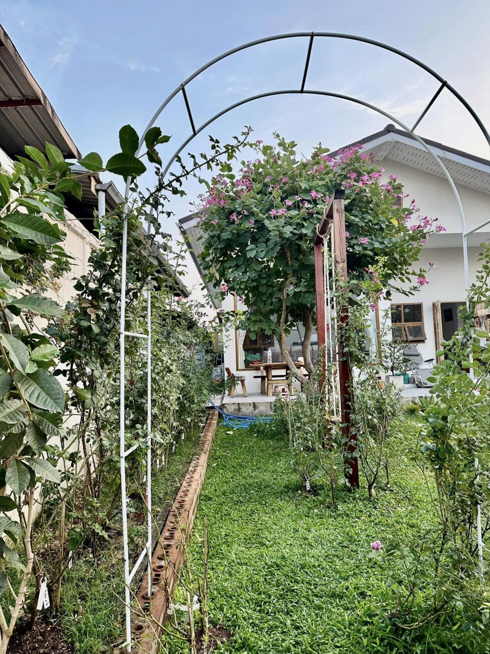 บ้านชั้นเดียวสไตล์มินิมอล น่ารักอบอุ่น ขนาด 3 ห้องนอน  2 ห้องน้ำ พื้นที่ใช้สอย 110 ตร.ม. รูปที่ 11