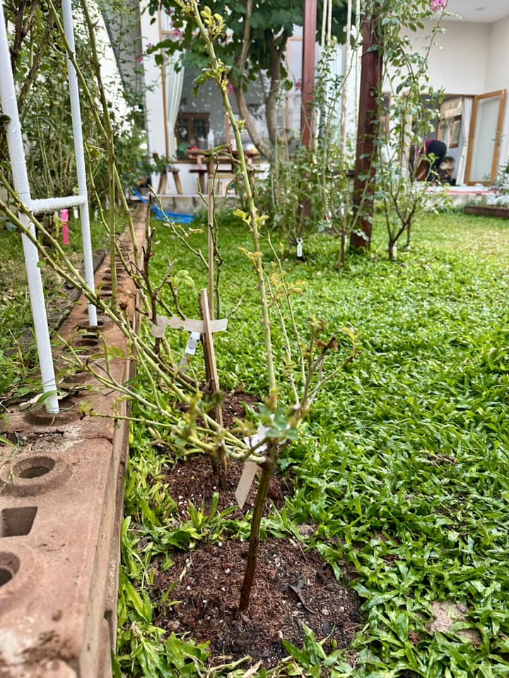 บ้านชั้นเดียวสไตล์มินิมอล น่ารักอบอุ่น ขนาด 3 ห้องนอน  2 ห้องน้ำ พื้นที่ใช้สอย 110 ตร.ม. รูปที่ 12