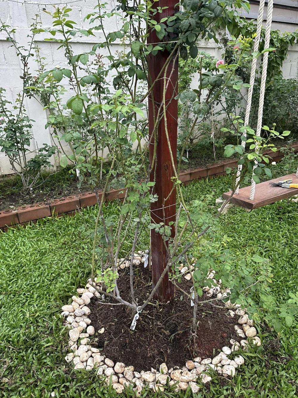 บ้านชั้นเดียวสไตล์มินิมอล น่ารักอบอุ่น ขนาด 3 ห้องนอน  2 ห้องน้ำ พื้นที่ใช้สอย 110 ตร.ม. รูปที่ 18