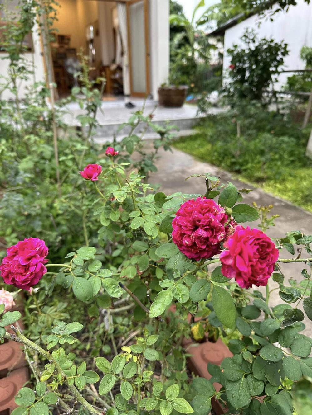 บ้านชั้นเดียวสไตล์มินิมอล น่ารักอบอุ่น ขนาด 3 ห้องนอน  2 ห้องน้ำ พื้นที่ใช้สอย 110 ตร.ม. รูปที่ 20