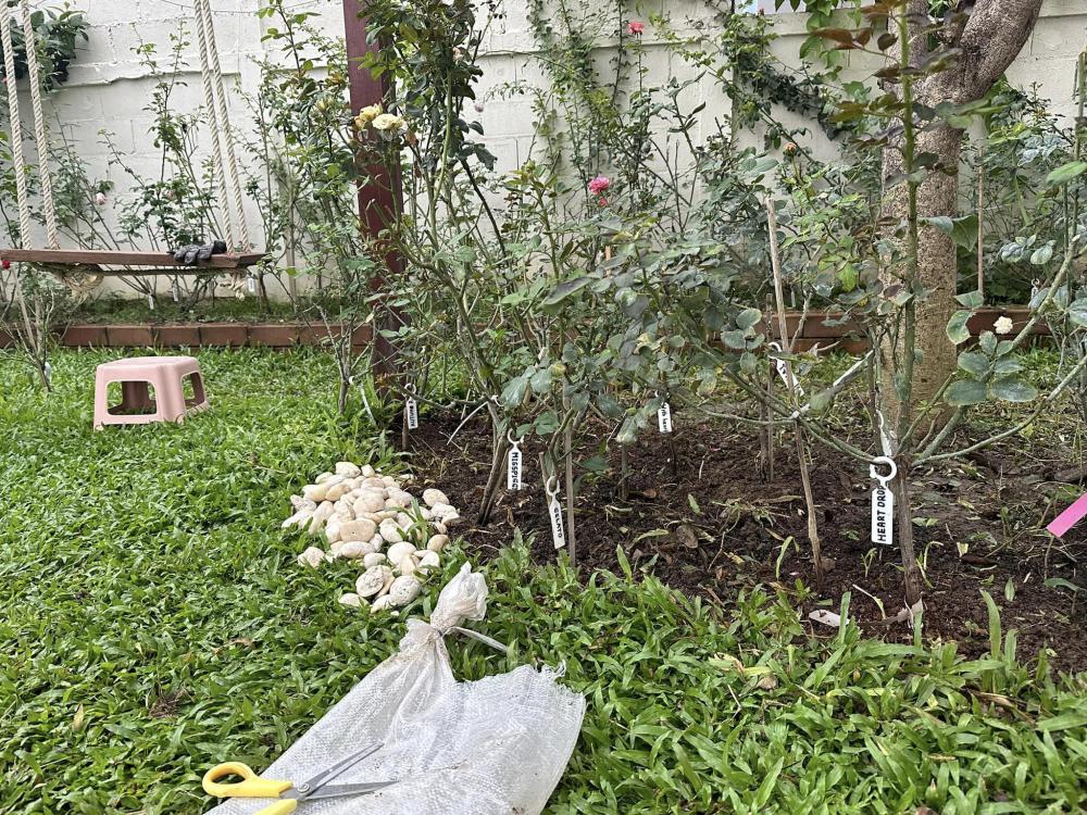 บ้านชั้นเดียวสไตล์มินิมอล น่ารักอบอุ่น ขนาด 3 ห้องนอน  2 ห้องน้ำ พื้นที่ใช้สอย 110 ตร.ม. รูปที่ 22