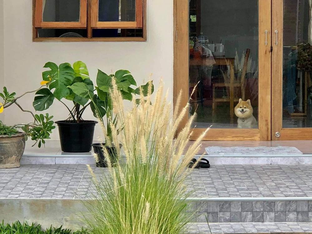 บ้านชั้นเดียวสไตล์มินิมอล น่ารักอบอุ่น ขนาด 3 ห้องนอน  2 ห้องน้ำ พื้นที่ใช้สอย 110 ตร.ม. รูปที่ 24