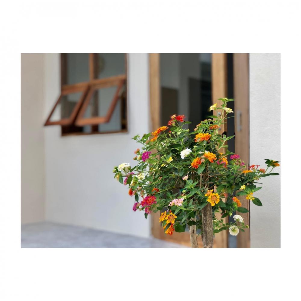 บ้านชั้นเดียวสไตล์มินิมอล น่ารักอบอุ่น ขนาด 3 ห้องนอน  2 ห้องน้ำ พื้นที่ใช้สอย 110 ตร.ม. รูปที่ 31