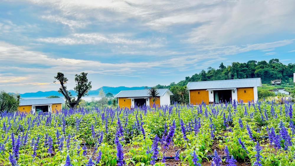 ไอเดียบ้านน็อคดาวน์ขนาดเล็ก แบบบ้านไร่เขาจันทร์หอม รีสอร์ตที่มาแรงแห่งเขาใหญ่ รูปที่ 21