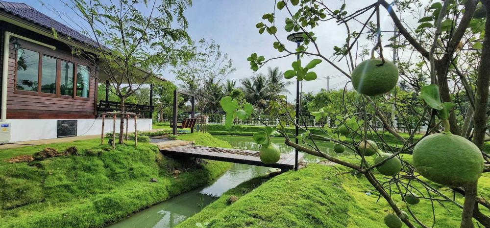 ไอเดียบ้านสวนสวย ล้อมด้วยสวนพื้นที่สีเขียวน่าอยู่มาก รูปที่ 11