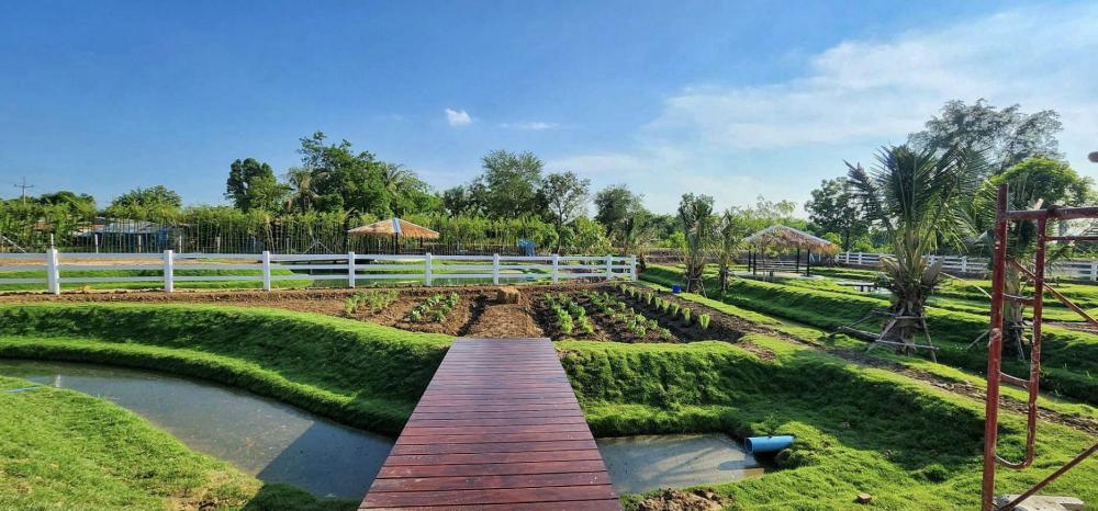 ไอเดียบ้านสวนสวย ล้อมด้วยสวนพื้นที่สีเขียวน่าอยู่มาก รูปที่ 26