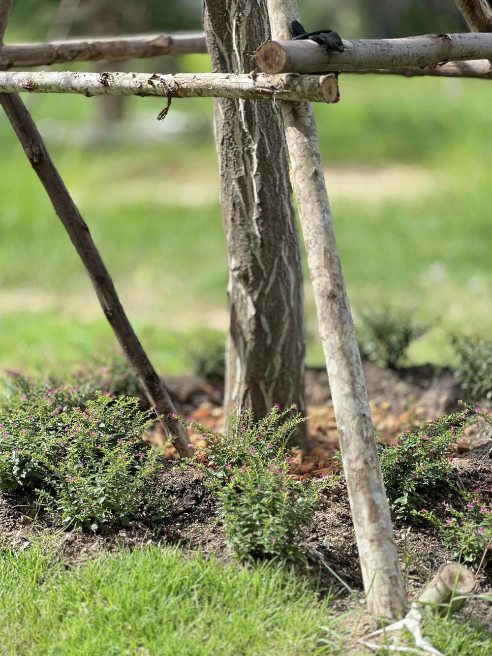 ไอเดียบ้านนอร์ดิกมินิมอล ได้ไอเดียจากกลุ่มหลายๆอย่างมาปรับใช้ รูปที่ 36