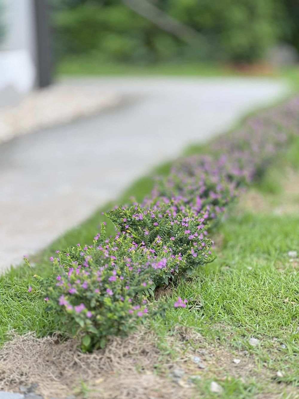 บ้านนอร์ดิกมินิมอล งบ 2.6 ลบ. น่ารักน่าอยู่ รูปที่ 23