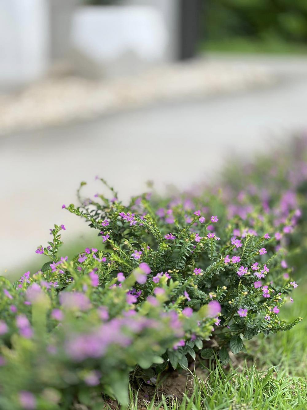 บ้านนอร์ดิกมินิมอล งบ 2.6 ลบ. น่ารักน่าอยู่ รูปที่ 28